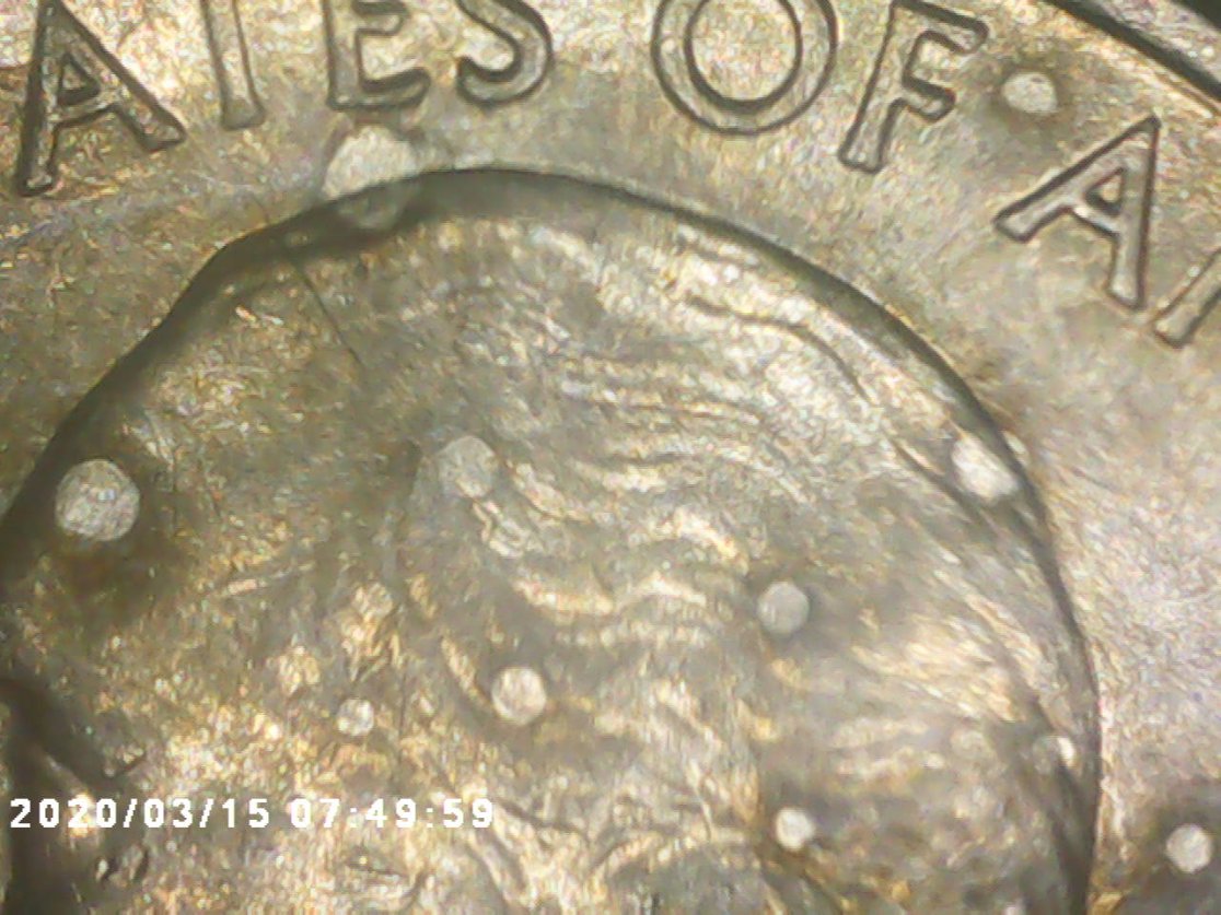 2016-D-Spotted-Quarter